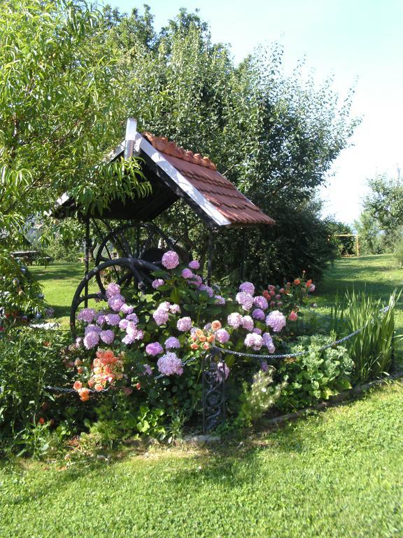 Panorama B&B Ptuj Exterior foto