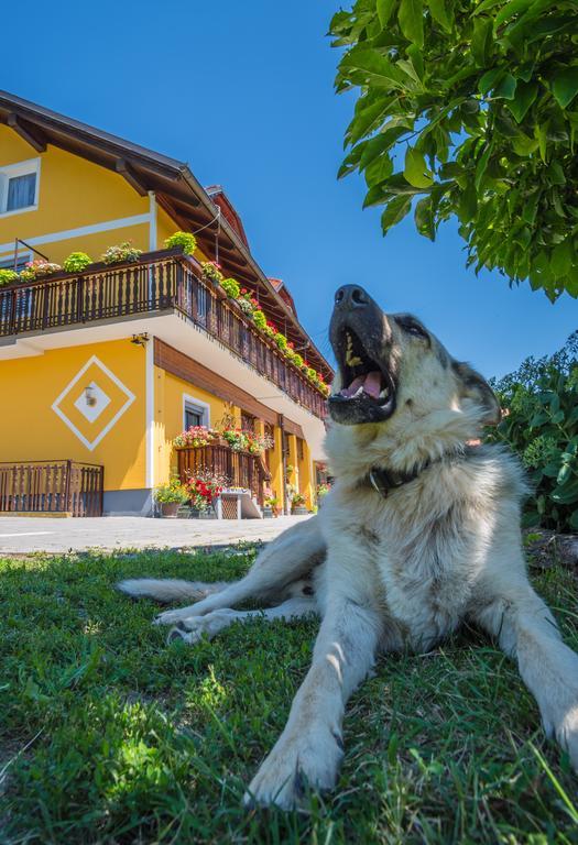 Panorama B&B Ptuj Exterior foto