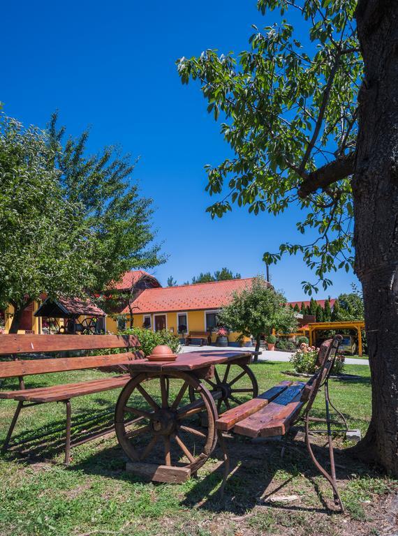 Panorama B&B Ptuj Exterior foto