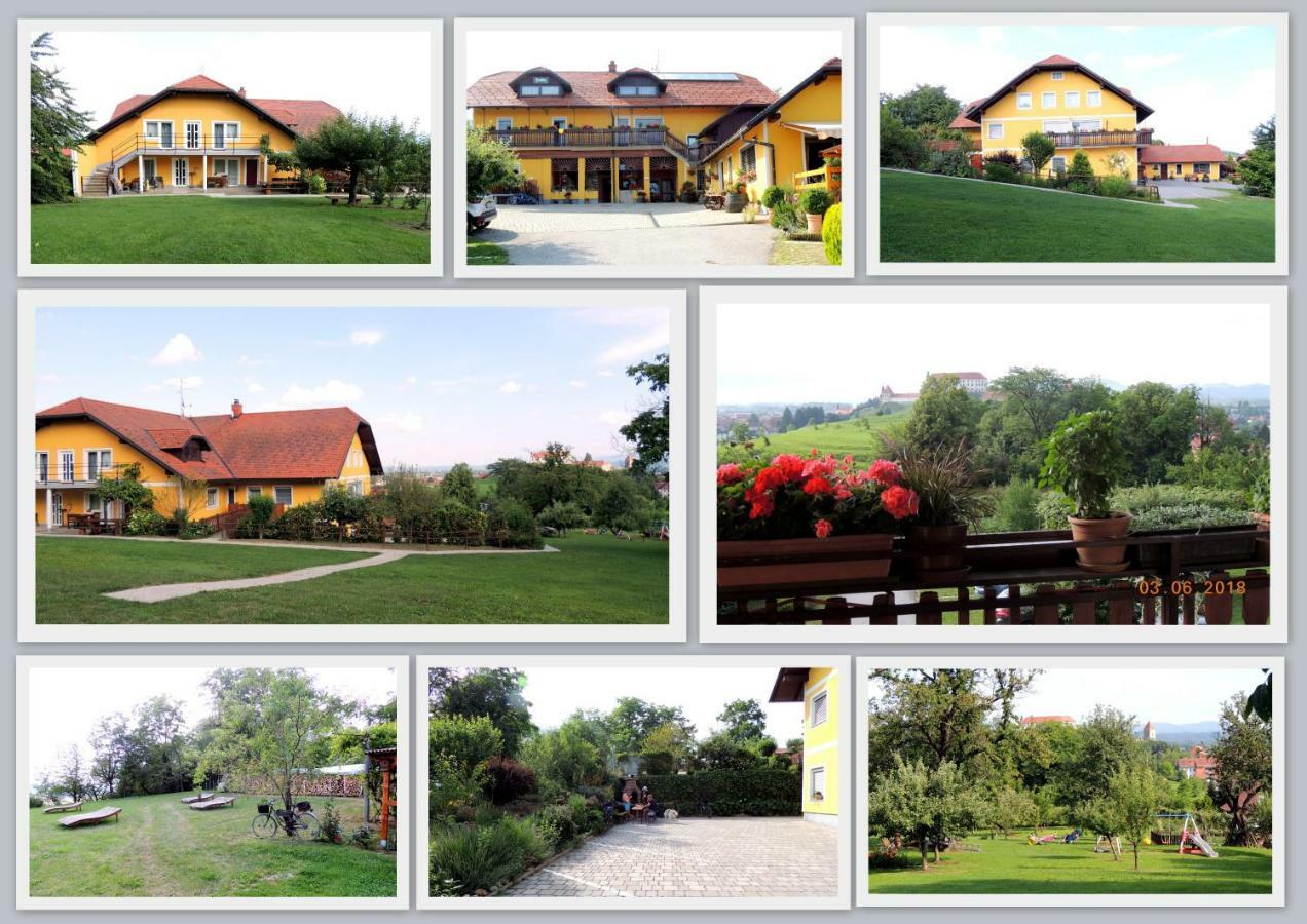 Panorama B&B Ptuj Exterior foto