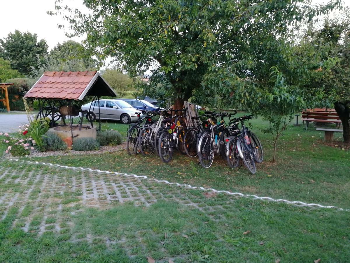 Panorama B&B Ptuj Exterior foto