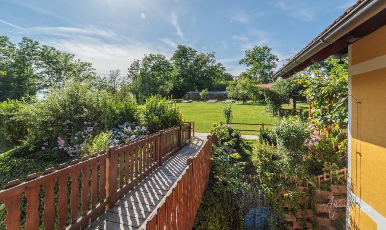 Panorama B&B Ptuj Exterior foto
